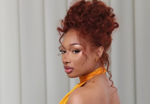 Hot Girl, Hot Hair: Megan Thee Stallion Debuts Vibrant Pink Look for Summer
