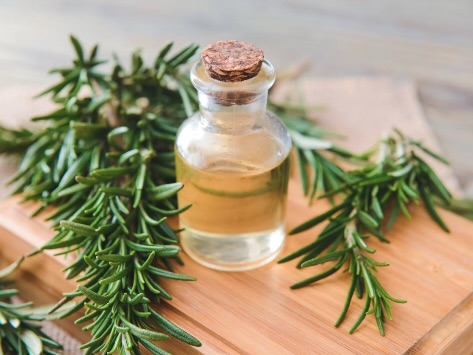 Rosemary Rinse Revolution: Why Natural Hair Gurus Swear By This Growth-Boosting Water