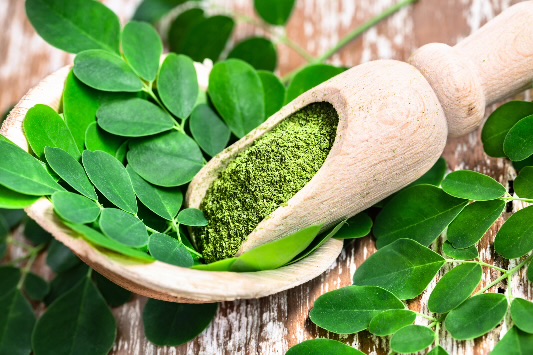 Green Gold for Your Curls: How Moringa Boosts Hair Growth And Strength
