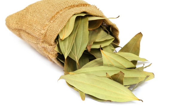 Stronger, Shinier Strands: What Bay Leaves Do For Natural Hair And When To Add Them To Your Routine