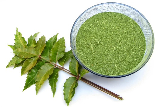 Nature’s Remedy: Why Neem Leaves Work Wonders For Hair, And How To Use Them Right