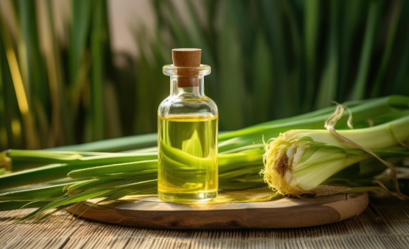 Beyond Hair Masks And Oils: Why Bamboo Extract Is Gaining Attention For Hair Strength