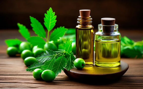 Neem Oil For Natural Hair: The Ancient Beauty Secret Your Scalp May Love